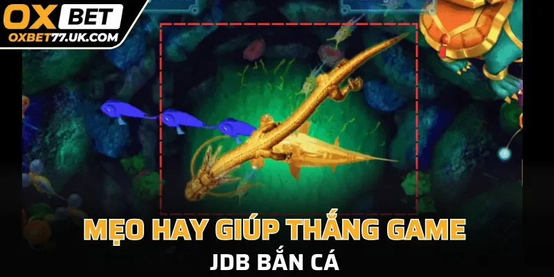 Mẹo hay giúp thắng nhanh JDB bắn cá